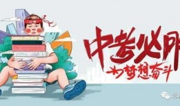 全关积木新品爆料视频,创意无限，童趣盎然！
