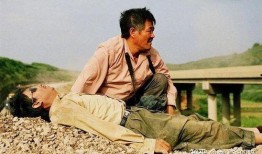 落叶归根电影在线观看,寻根之旅，情感共鸣的影像之旅