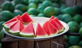 免费吃瓜下载40米,畅享无限瓜果盛宴